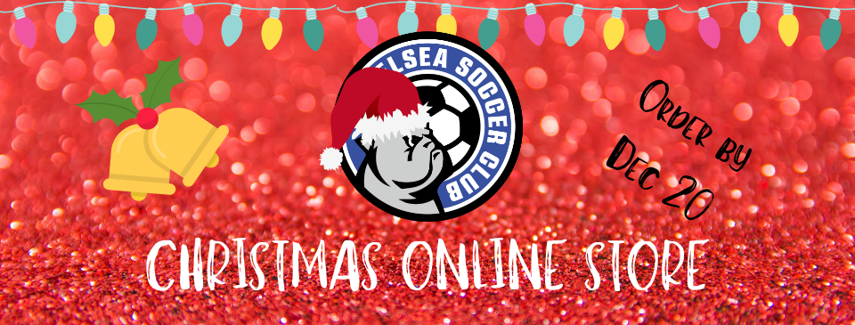Christmas Online Store
